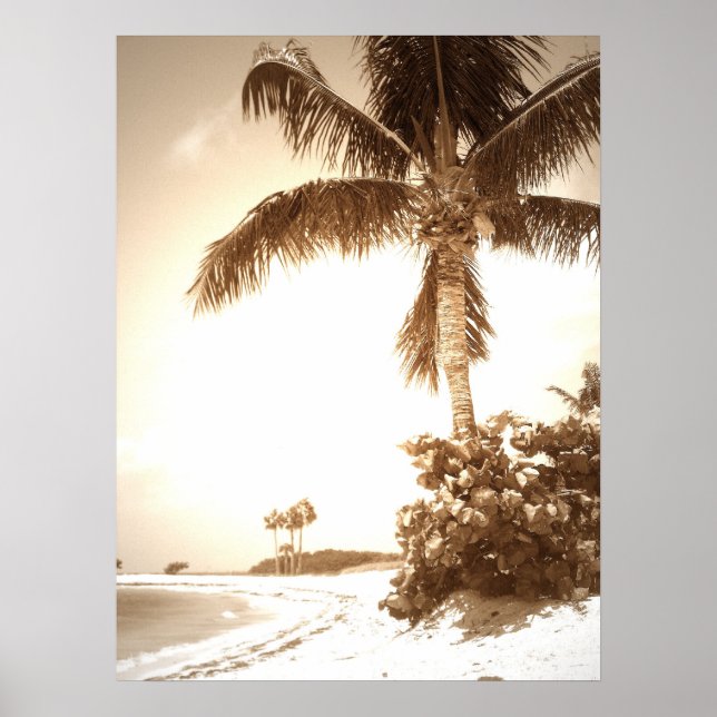 Marathon Beach Poster (Front)