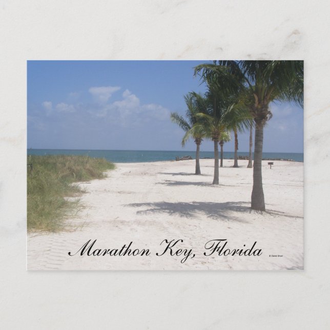 Marathon Key, Florida Postcard (Front)