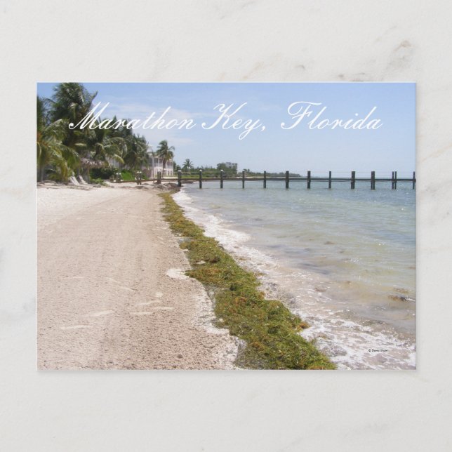 Marathon Key, Florida Postcard (Front)