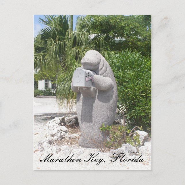 Marathon Key, Florida Postcard (Front)