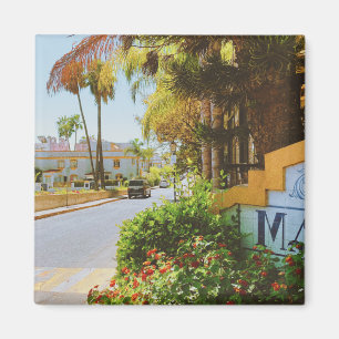 Marbella Magnet