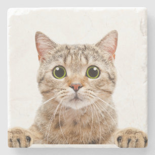 Marble Stone Coaster Cat Print 