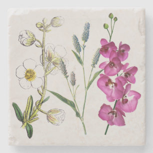 Marble Stone Coaster - English Country Kitchen 2