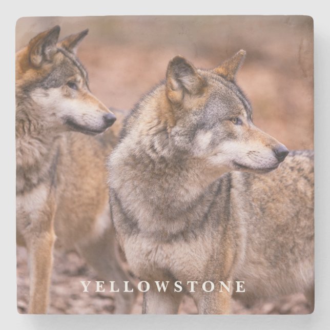 Marble Stone Coaster-Yellowstone Wolves Coaster (Front)