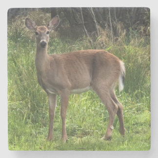 Marble Stone Deer Coaster