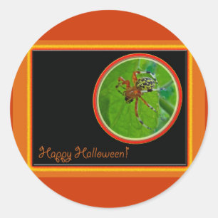 Marbled Orb Weaver Spider Happy Halloween Items Classic Round Sticker