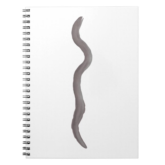 Marbled Swamp Eel Notebook (Front)