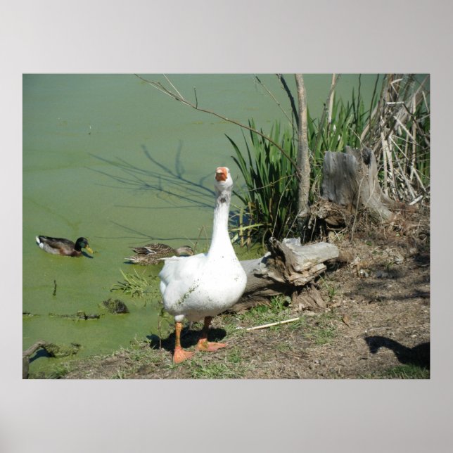 March 4 (62) Canvas Poster (Front)