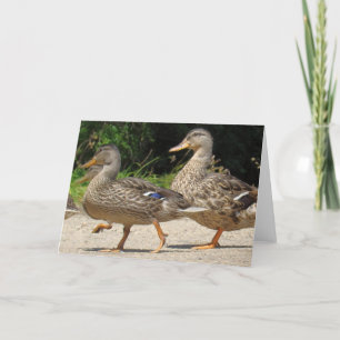 March of the Ducks Greeting Card