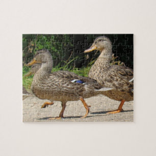 March of the Ducks Jigsaw Puzzle