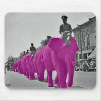 March of the Pink Elephant Circa 1920's Circus