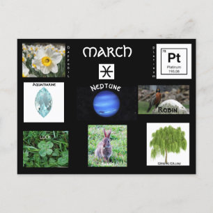 March Pisces Birthday Postcard