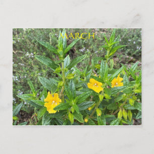 MARCH POSTCARD