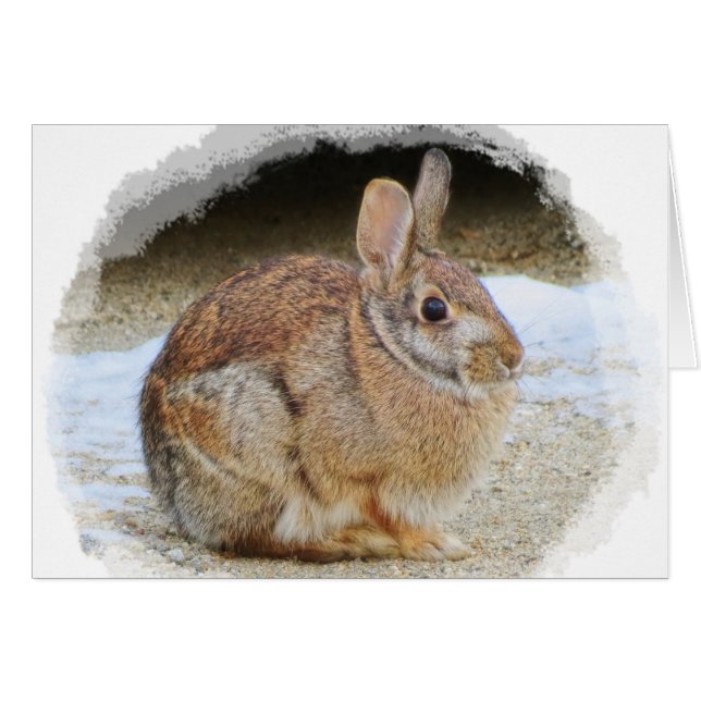March Rabbit with Vignette (Front Horizontal)