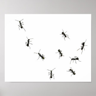 marching ants.png poster