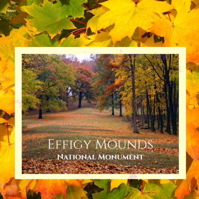 Marching Bear Mound, Autumn, Effigy Mounds Postcard (Creator Uploaded)