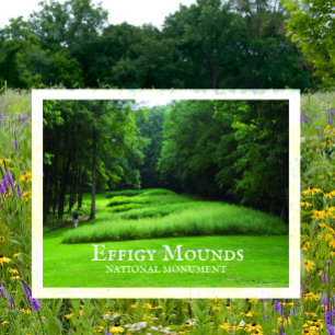 Marching Bear Mounds Group, Summer, Effigy Mounds Postcard