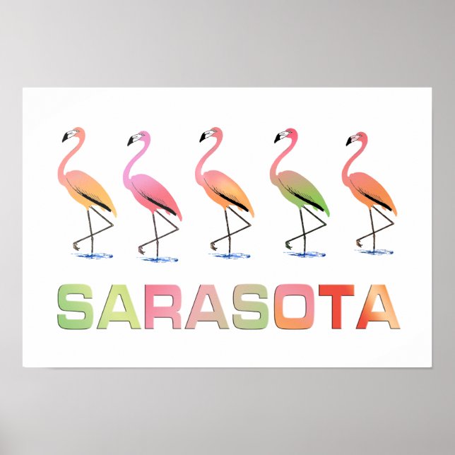 Marching Flamingos Sarasota Poster (Front)