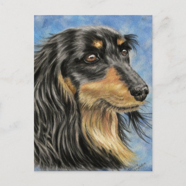 Marcus - Long Haired Dachshund Art Postcard (Front)