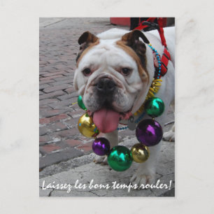 Mardi Gras Bulldog Postcard