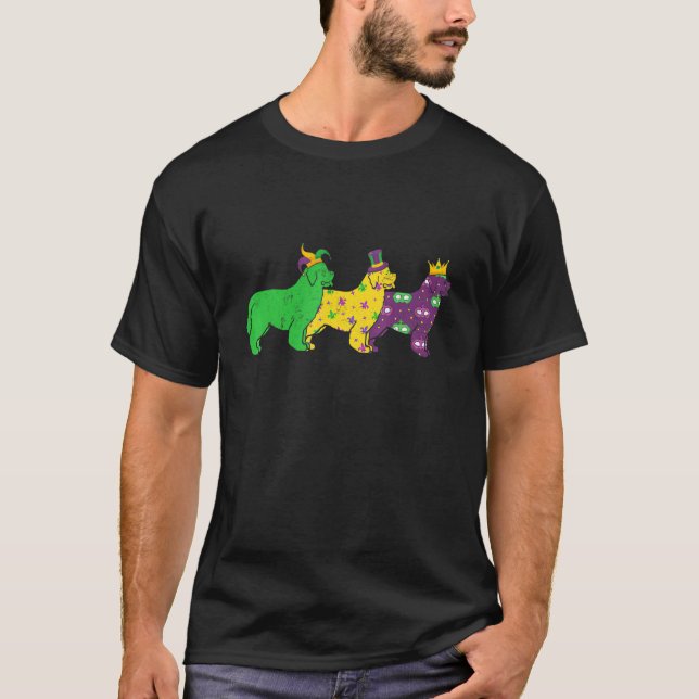 Mardi Gras Newfoundland Beads Festival Jester Hat T-Shirt (Front)