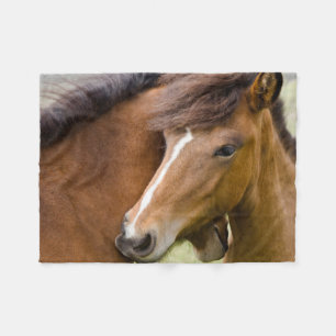 Mare And Colt Fleece Blanket