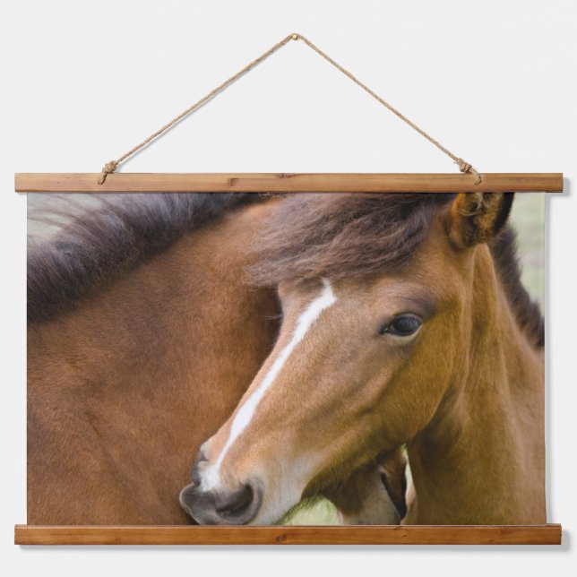 Mare And Colt Hanging Tapestry (Front)