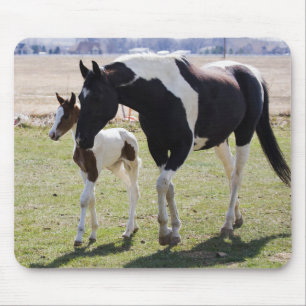 Mare and Filly Walking Mouse Pad