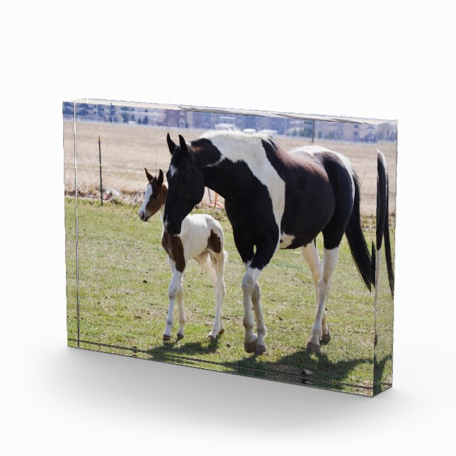 Mare and Filly Walking Photo Block (Right)