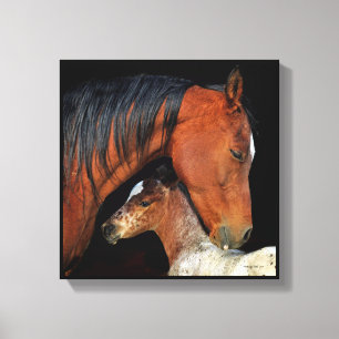 Mare And Foal Canvas Wrap Print