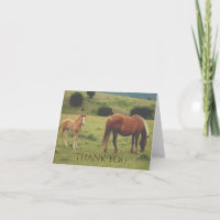 Mare and Foal Grazing on Hillside Horse Thank You