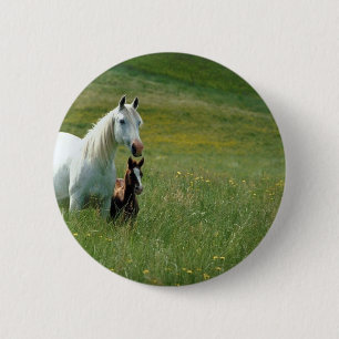 Mare and Foal in Tall Grass 6 Cm Round Badge