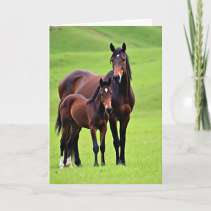 Mare And Foal Mothers Day Card