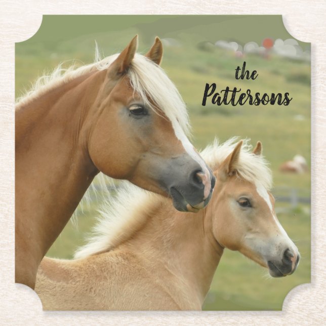Mare and Foal Portrait Horses Set of 6 Paper Coaster (Front)