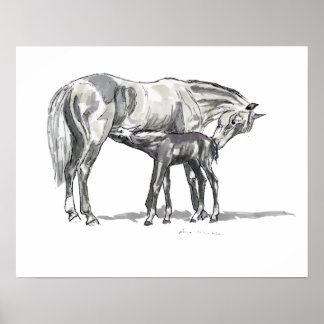 Mare and Foal Poster