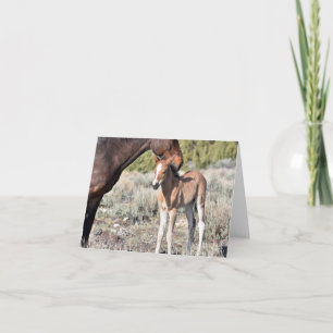 Mare and foal standing together in the sunshine card