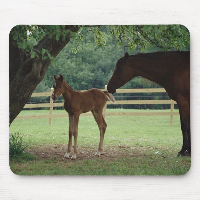 Mare and Foal Under Tree Mouse Pad (Front)