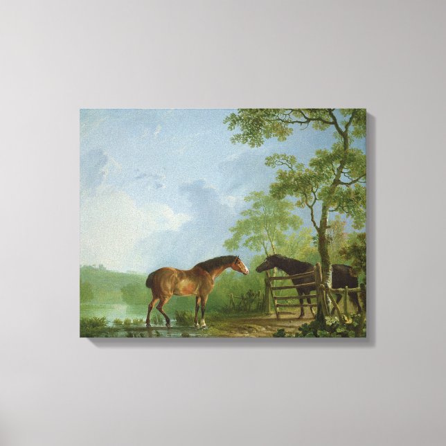 Mare and Stallion in a Landscape Canvas Print (Front)
