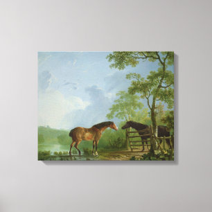 Mare and Stallion in a Landscape Canvas Print