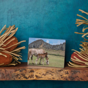 Mare & Colt at Volcanic Crater of Rano Raraku Plaque