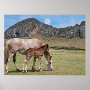 Mare & Colt at Volcanic Crater of Rano Raraku Poster