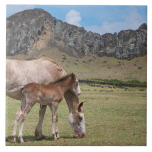 Mare & Colt at Volcanic Crater of Rano Raraku Tile