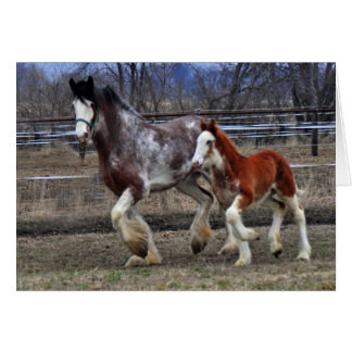 Mare & colt running