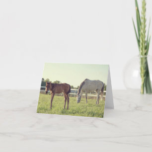 Mare & Foal Horses Note Card