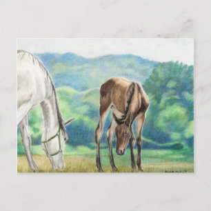 Mare & Foal Original Art Post Card