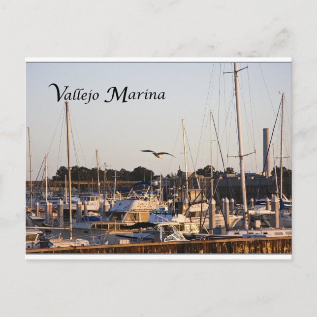 Mare Island and Vallejo Marina Postcard (Front)