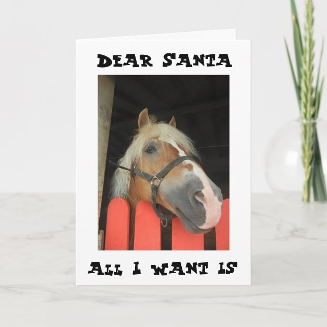 MARE WANTS "ONLY HIS FILLY" FROM SANTA THIS YEAR HOLIDAY CARD (Front)