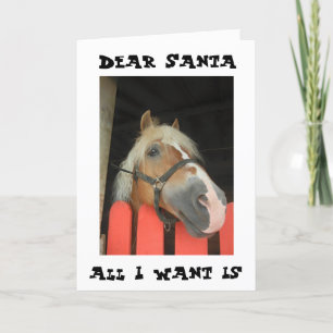 MARE WANTS "ONLY HIS FILLY" FROM SANTA THIS YEAR HOLIDAY CARD