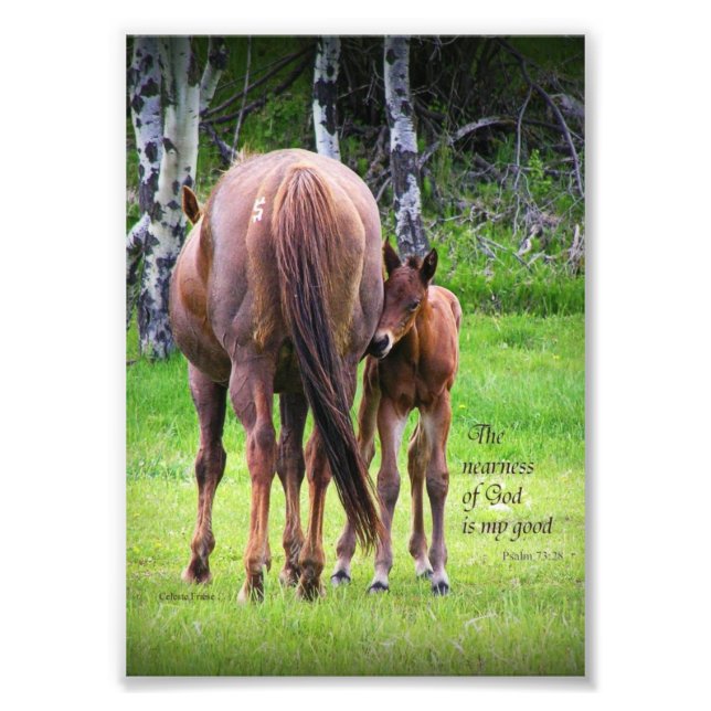 Mare With Colt - Nearness of God 5 x 7 print (Front)