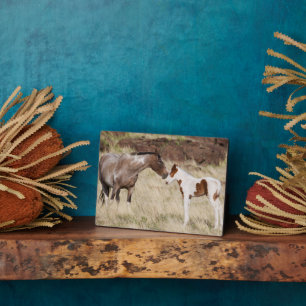 Mare with Colt Plaque